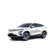 FX EV [2022 - ]